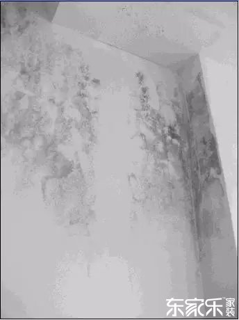 墙面发霉发黑怎么办？墙面已经出现霉斑时怎么做？
