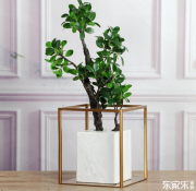 室内装修有哪些装修风格？简述各类装修风格优缺点