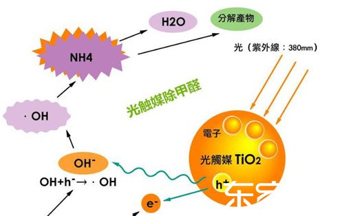 什么是光触媒？光触媒真的能去除室内有害气体吗？