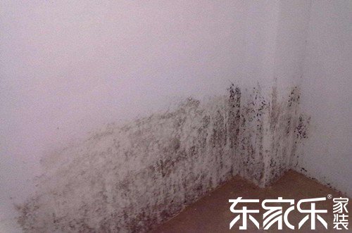墙面发霉是什么原因导致的?